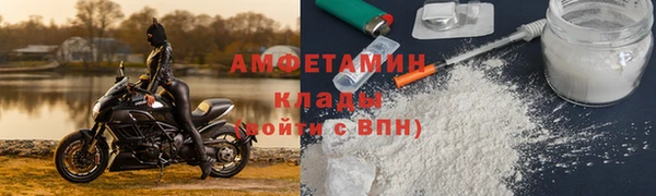 молекула духа Козельск