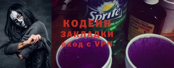 молекула духа Козельск