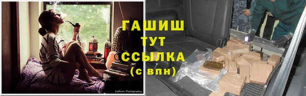 молекула духа Козельск