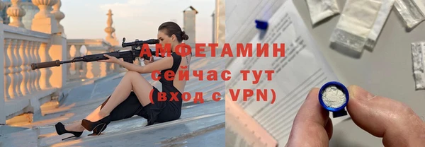 молекула духа Козельск