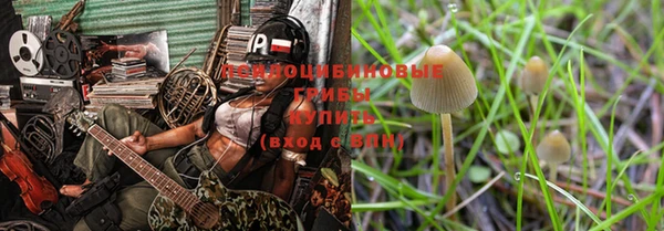 молекула духа Козельск