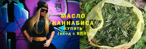 молекула духа Козельск