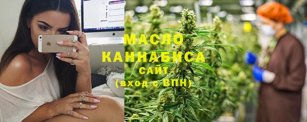 молекула духа Козельск