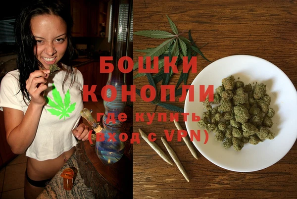 молекула духа Козельск