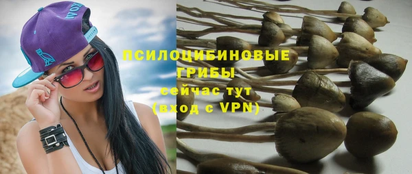 ALPHA PVP Кодинск