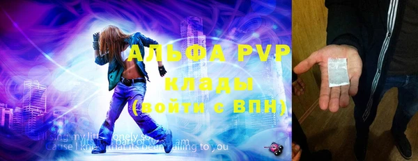 молекула духа Козельск