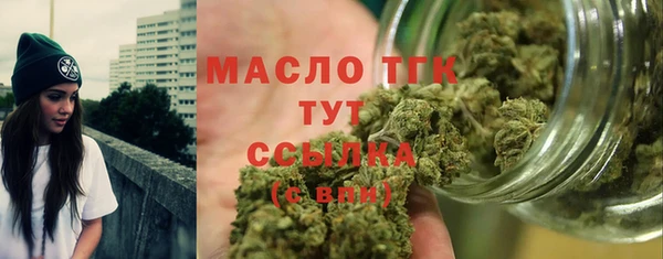 молекула духа Козельск