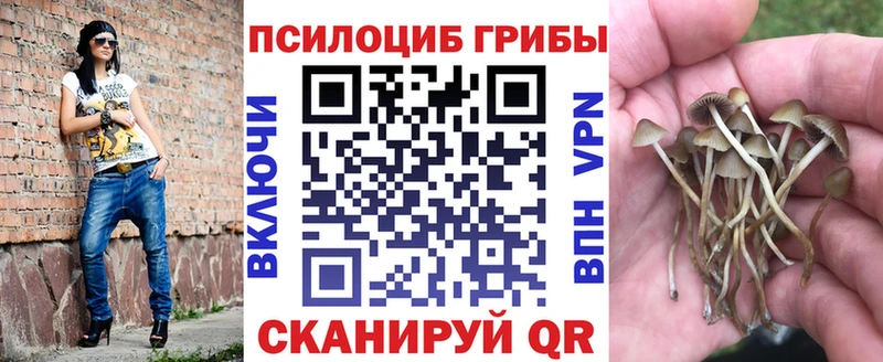 Псилоцибиновые грибы мухоморы  Купить где  Саратов 